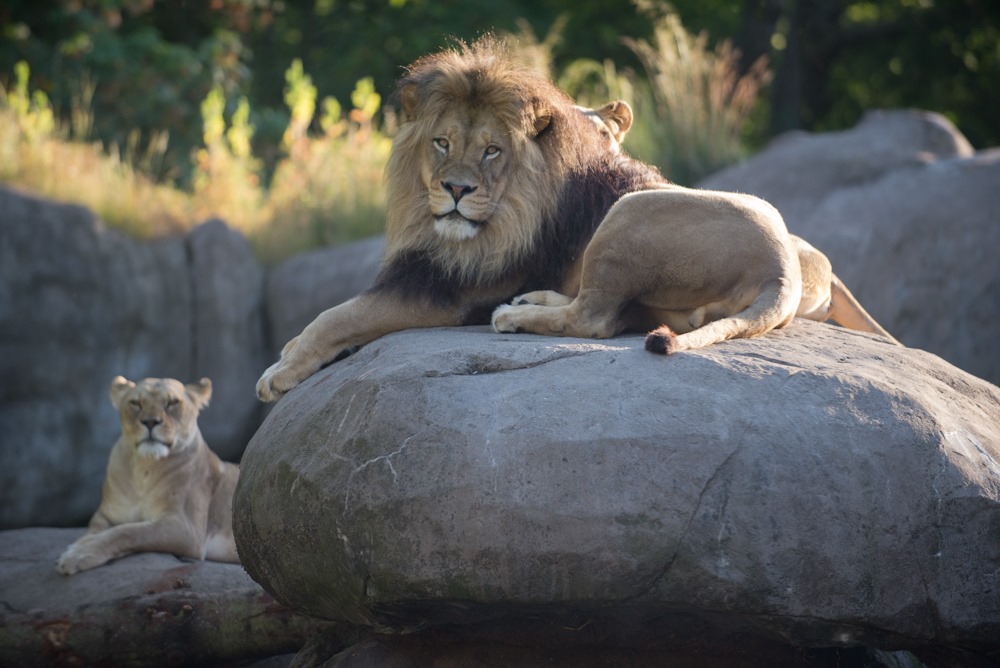 Oregon Zoo